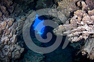 Underwater cave on the reef