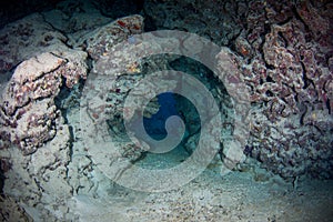 Underwater cave on the reef