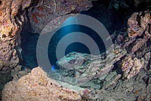 Underwater cave on the reef