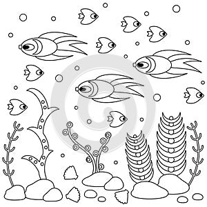 Underwater children`s coloring book page. Fish and seaweed , underwater world