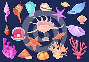 Underwater conches. Cartoon shellfish scallops ocean conch oyster mollusks seashell, beach reef coral sea star pearl