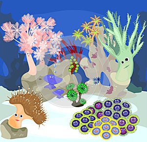 Underwater coral reef