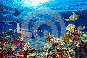 Underwater coral reef landscape snorkling