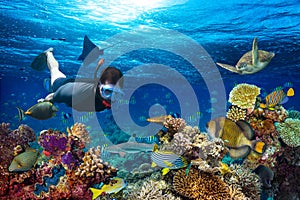 Underwater coral reef landscape snorkling photo