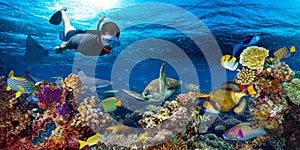 Underwater coral reef landscape snorkling photo