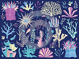 Underwater Coral Reef with Seaweeds and Anemones