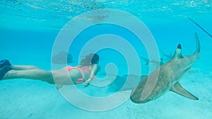 UNDERWATER: Female snorkeler observing the friendly sharks swimming around her.