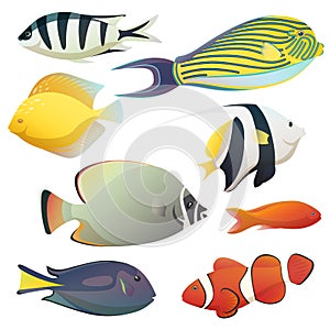 Underwater golden fishes and small sea fauna