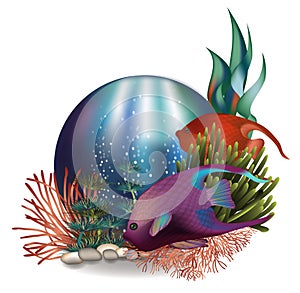 Underwater greeting cad with tropical fish, vector