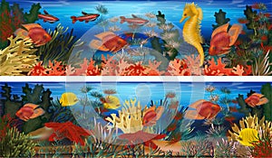 Underwater horizontal banners with seahorse, algae and tropical fish, vector