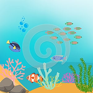 Underwater illustration art