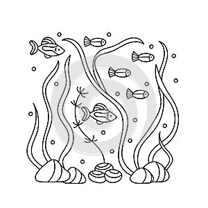 Underwater inhabitants and algae, coloring book. Fish and seaweed. Doodle of marine animals and plants