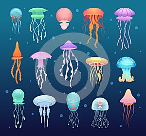 Underwater jellyfish. Beautiful magic water jelly swimming animals vector collection