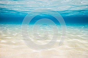 Underwater lagoon backround