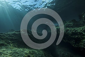 Underwater landscape scene