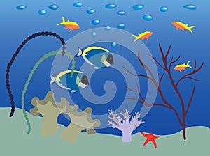 Underwater landscape