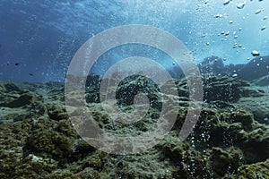 Underwater Landscape with ascending air bubbles photo