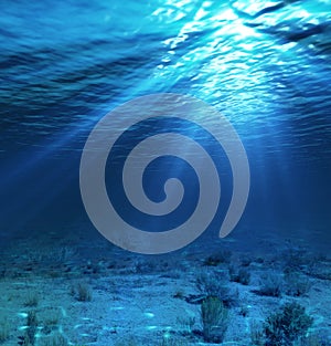 Underwater landscape and backdrop with algae