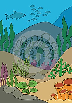 Underwater landscape. At the bottom there are stones and various algae grow. Fish and other marine animals swim in the water