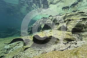 Underwater landscape clear water