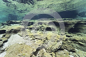 Underwater landscape clear water