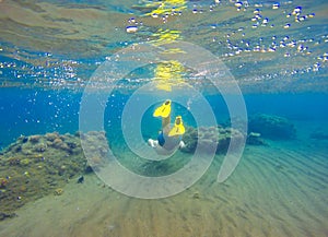 Underwater landscape with snorkel and coral reef. Snorkeling man in mask swimming undersea.