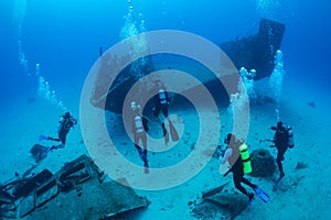 Underwater life on the Dutch Caribbean island of Sint Maartenter