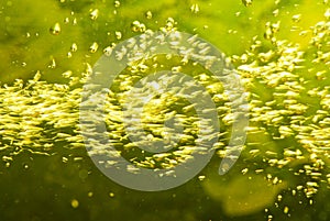 Underwater light and flowing bubbles