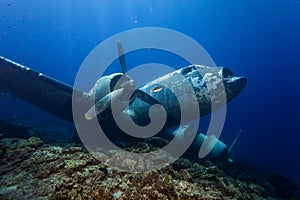 Underwater in Maldives, aircraft wreck from World War II