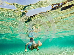 Underwater nature study