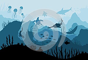 Underwater ocean fauna. Deep sea plants, fishes and animals. Marine seaweed, fish under water and animal silhouette with