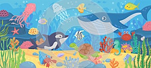 Underwater ocean life. Dolphin, exotic fishes and crab, squid. Bottom seaweeds, sea turtle and marine reef animals