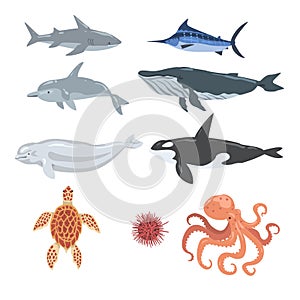 Underwater Ocean Sea Creatures and Animals Set, Humpback Whale, Turtle, Octopus, Sea Urchin, Dolphin, Swordfish Cartoon