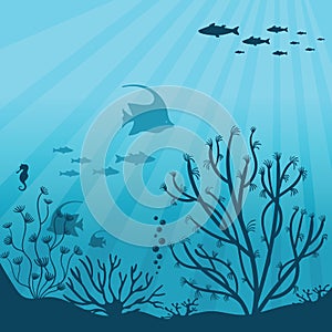 Underwater ocean. Underwater sea fauna