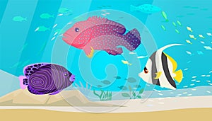 Underwater ocean world with exotic fishes. Ocean bottom with marine life, school of tropical fish