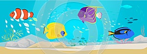 Underwater ocean world with exotic fishes. Ocean bottom with marine life, school of tropical fish