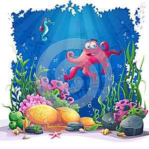 Underwater octopus, coral and colorful reefs and algae on sand