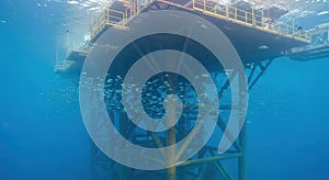 Underwater Oil Platform with Fish Schooling Around Support Structures