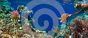 Underwater panorama in a coral reef with colorful sealife photo