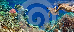 Underwater panorama in a coral reef with colorful sealife