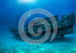 Scuba diver exploring a sunken shipwreck at the Maldives islands, Indian Ocean photo