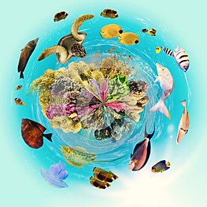 underwater paradise background coral reef wildlife nature collage with shark manta ray sea turtle colorful fish