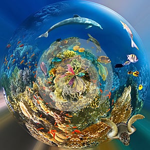underwater paradise background coral reef wildlife nature collage with shark manta ray sea turtle colorful fish