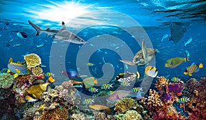 Underwater paradise coral reef colorful fish background