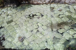 underwater paving stones in a park