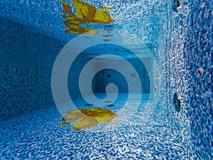 Underwater photo in the Rakvere spa pool photo