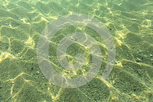 Underwater photo - seafloor, sun shines on sand