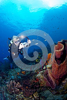 Underwater Photographer in St Lucia