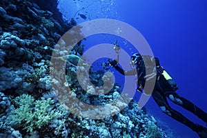 Underwater Photographer with a Turtle