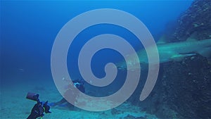 Underwater photographers. Scuba divers & camera man. shark underwater photography